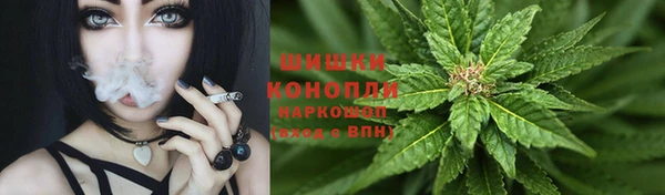 соль ск Липки