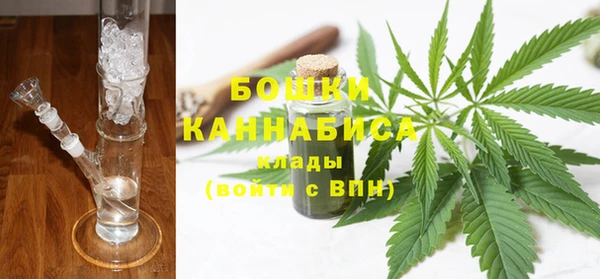 ПСИЛОЦИБИНОВЫЕ ГРИБЫ Лиски