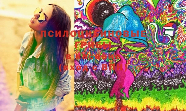 ПСИЛОЦИБИНОВЫЕ ГРИБЫ Лиски
