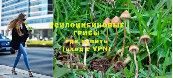 ПСИЛОЦИБИНОВЫЕ ГРИБЫ Лиски
