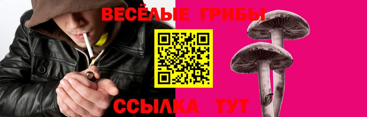 Псилоцибиновые грибы GOLDEN TEACHER  Вход с VPN  Лабытнанги 